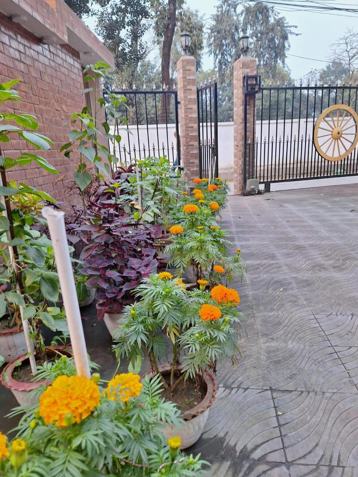 Little Rangpur Inn Екстер'єр фото
